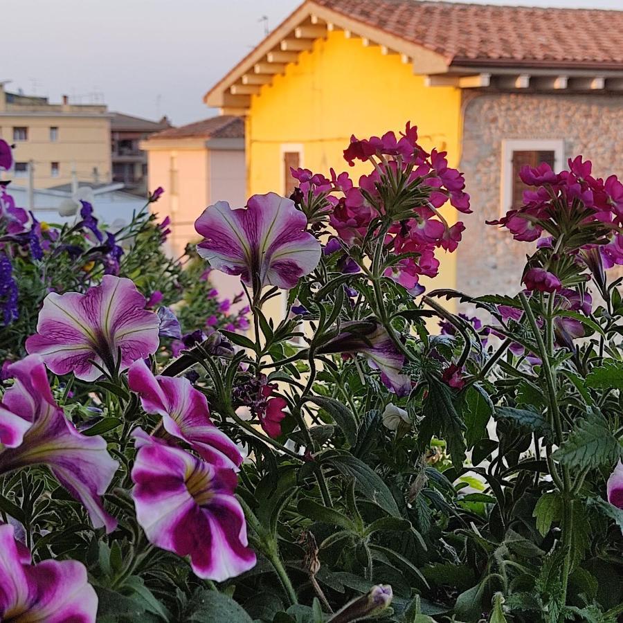 Lovely Casa Paola Villlafranca Centro Zimmer Rooms Villafranca di Verona Exterior photo